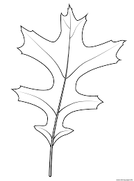 Fun, easy & free to print. Pin Oak Leaf Coloring Pages Printable