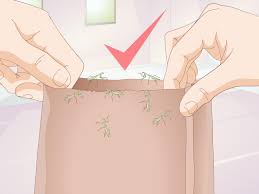 Need pest control for your garden or medical marijuana plants? 3 Ways To Keep A Pet Praying Mantis Without A Cage Wikihow