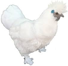 Maybe you would like to learn more about one of these? Amazon Com Adore 12 Standing Puffy The Silkie Chicken Plush Stuffed Animal Toy Toys Games