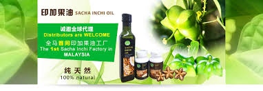 We did not find results for: Sacha Inchi Oil Supplier Malaysia Johor Bahru Jb å°åŠ æžœæ²¹ Omega 3 6 9 Oil Supply äºšéº»é…¸ äºšæ²¹é…¸ Sacha Inchi Marketing Sdn Bhd