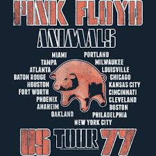 Image result for Pink 1977 Amana