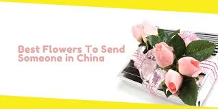 Flowers to send to someone near me. Best Flowers To Send Someone In China