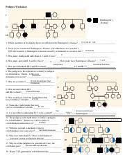 Pedigree worksheet key i ii 1 2 1 2 4 5 3 = huntington's disease 6 7 8 iii 1 2 3 4 5 1. Kami Export Pedigree Worksheet 2 Ignacio Mejia Pedigree Worksheet I Ii 1 2 1 2 4 5 Huntingtons Disease 3 6 7 8 Iii 1 2 3 4 5 I1 Ii2 Ii3 Ii7 Course Hero