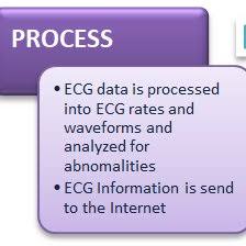 Input Process Output Ipo Chart Of Ecg Monitoring Device
