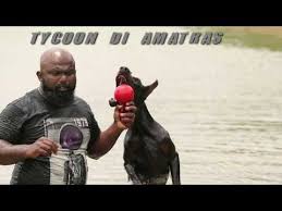 Dezeen awards is the architecture, interiors and design awards programme organised by dezeen, the world's most popular design magazine. European Doberman In Kerala We Like Dogs