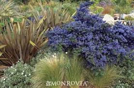 Pin On Outdoor Ideas