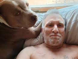 Pitbull breed identification and discussion