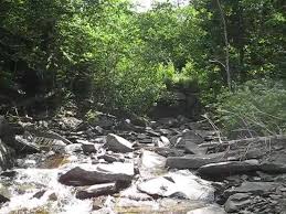 Check spelling or type a new query. Spruce Cone Cabins And Campground Home Facebook