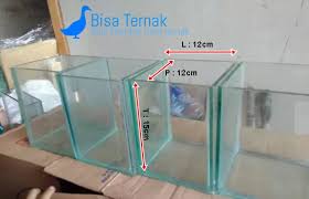 Aquarium ikan cupang minimalis yang keren. Ukuran Aquarium Ikan Cupang Hias Kumpulan Materi Pelajaran Dan Contoh Soal 3