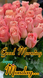 Good morning monday flowers quotes. K Juli Good Morning Happy Monday Monday Morning Quotes Happy Monday Quotes