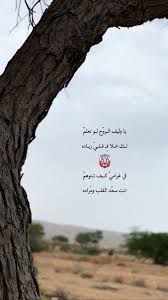 Pin By فتاه لطيفه On اشعار وحركات Quran Quotes Inspirational Cover Photo Quotes Funny Arabic Quotes