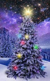 A Beautiful Christmas Tree Christmas Wallpaper Christmas Wallpaper Android Christmas Wallpaper Free