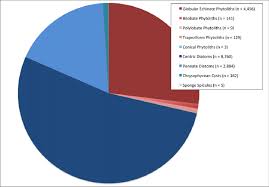 1 pie chart displaying the proportion of different types of