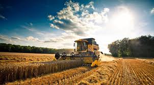 Agricoltori Usa, la stangata di Hormuz su diesel e fertilizzanti