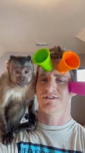 The craziest Fanmail Friday that we have ever had with George AND his  sister, Lacy! 🤪🐒🐒 TYSM to all of the amazing fans who made this happen!  🥰🐵🐵 https://youtu.be/FaXsX5kWf1c