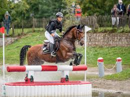 Maybe you would like to learn more about one of these? Strzegom Hamiltons Wurdiger Abschied Und Krajewskis Aufholjagd