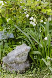 Gartengluck Im Mai Oder Schneeball Ohne Lause Pomponetti Garten Schneeball Blattlause Rosen