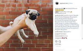 Want to improve instagram reach? 100 Popular Instagram Hashtags You Should Use On Every Post Woorise