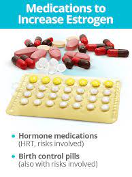 Increasing Estrogen Levels | Shecares