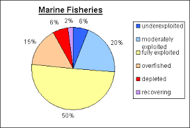 International Fisheries Policy Environmental Concerns