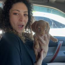 56k steps over 3 days 😮‍💨