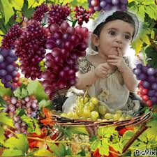 Les Vendanges De L Amour Picmix