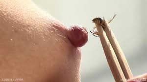 Collared MILF enjoying bee stings and nipple torture