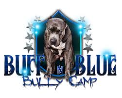This dog was first bred in the 1980s. Xl American Bullies Puppies For Sale Buff N Blue Bullies Alabama