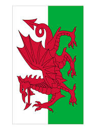 Flag of wales welsh dragon national flag, flag, flag, dragon, fictional character png. Wales Flag Download This Free Printable Wales Template A4 Flag A5 Flag 8 And 21 Flags On One A4page Easy Flag Template Flag Coloring Pages Flag Printable