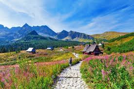 Find & download the most popular poland landscape photos on freepik free for commercial use high quality images over 7 million stock.poland landscape photos. 11 Best Places To Visit In Poland Planetware