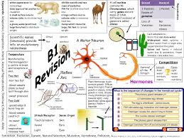 Biology B1 Revision Aqa Gcse Science Revision Biology Aqa Aqa Science