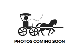 Maybe you would like to learn more about one of these? Official Horse And Chaise Logo Photo Coming Soon Horse And Chaise Rentals And Property Management