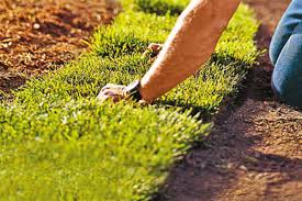 Since garden soil kits don't measure the buffer ph, they aren't much use for adjusting the ph of acidic soils. 9 Steps To A Lush Lawn This Old House