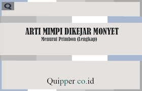 20 Arti Mimpi Dikejar Monyet Menurut Primbon Lengkap