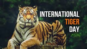 The tiger census of 2018, showed an increase in the population of india's national animal. Kaep Hqhlnhflm