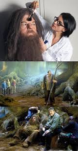 I love harry potter movies ( i've watched each part many times.from the time i was 4 or 5 rubeus hagrid is a vital character in the harry potter series. In Harry Potter And The Order Of The Phoenix 2007 And Other Films In The Series Robbie Coltrane S Stunt Double Wore An Oversized Puppeteered Head When They Needed To Convey The Size