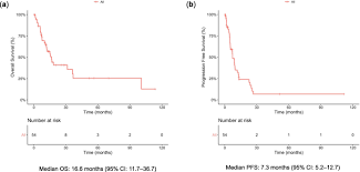 Maybe you would like to learn more about one of these? Efficacy Of Second Line Treatment And Prognostic Factors In Patients With Advanced Malignant Peritoneal Mesothelioma A Retrospective Study Bmc Cancer Full Text