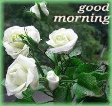 Pin On Morning