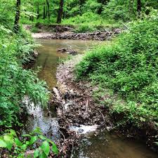 Jul 23, 2021 · meet at the nature center with hiking boots, water bottles, and a mask and get ready for the fun! What S There In Hidden Pond Nature Center Springfield Nesbitt Realty Property Management