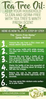 Pin On Tea Tree Essential Oil Livelovezen Exclusive