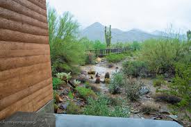 With an elevation of 7,848', pinal peak ranks way down on the arizona elevation list. Gateway Mcdowell Sonoran Conservancy