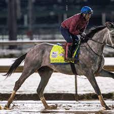 2021 kentucky derby odds, post positions. Yf9rsuee U4mxm