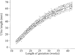 Charts Of Fetal Size Limb Bones Semantic Scholar
