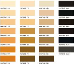 experienced earth tone pantone earth tone color chart earth