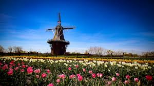 Hours may change under current circumstances 14 Beautiful Tulip Farms Festivals In America The Homestead Nurse