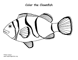 He stood by the creek trying to catch his food when he was finally able to snatch this fresh fish. Clownfish Coloring Page