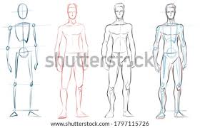 Muscles bones head and neck muscles flash cards read online. Human Body Drawing Reference At Getdrawings Free Download