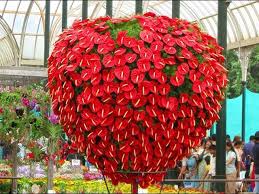 22 of the most beautiful blooming houseplants you can grow. Top 12 Most Beautiful Flowers In The World Youtube