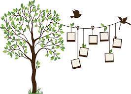 Dont panic , printable and downloadable free colorful family tree background 14 background check all we have created for you. Family Tree Png Background Image Transparent Png Image Pngnice