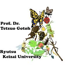 Another evo event is upon us, and for the first time it's taking place on eastern shores, namely in tokyo, japan. Ryutsu Keizai University Prof Dr Tetsuo Gotoh Hp